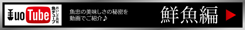 魚忠PR動画「鮮魚」編